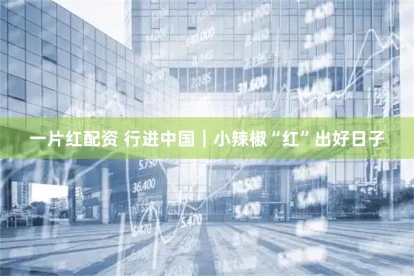 一片红配资 行进中国｜小辣椒“红”出好日子