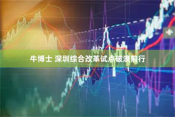 牛博士 深圳综合改革试点破浪前行