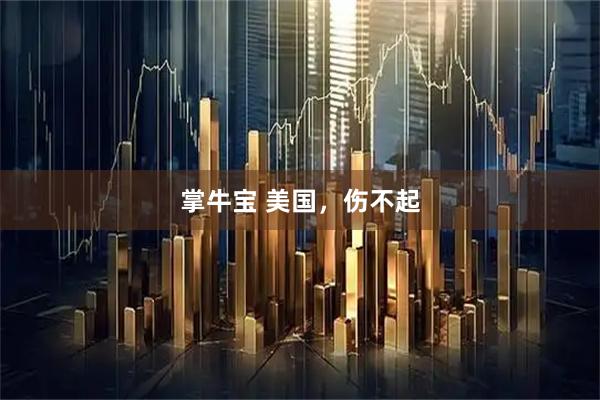 掌牛宝 美国，伤不起