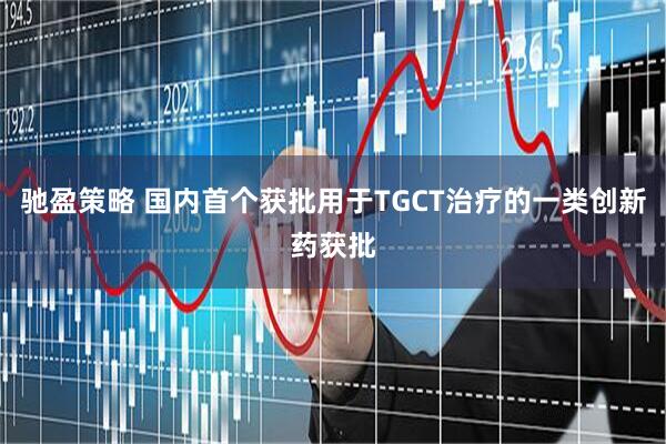 驰盈策略 国内首个获批用于TGCT治疗的一类创新药获批
